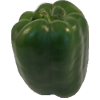 green pepper 100x100