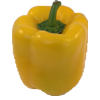 yellow pepper 100x100