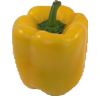 yellow pepper 100x100