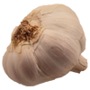 garlic 100x100