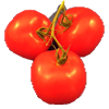 tomatoes