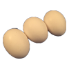 eggs