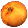 onion