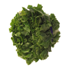 escarole2