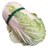 chinese cabbage